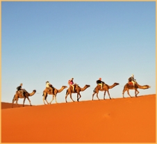 Camel Trekking Morocco Desert 
