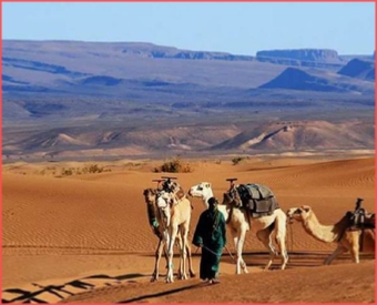 2 Day Private Tour of the Magical Zagora desert - Best of marrakech tour