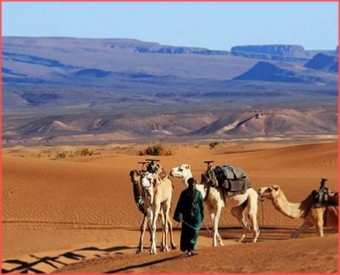 2 Day Private Tour of the Magical Zagora desert - Best of marrakech tour