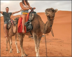 3 days in Morocco - Private Multi Day Tour from Marrakech to Merzouga